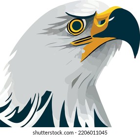 Bald Eagle isolated on white.