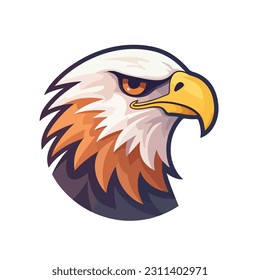 Bald eagle isolated on white background.