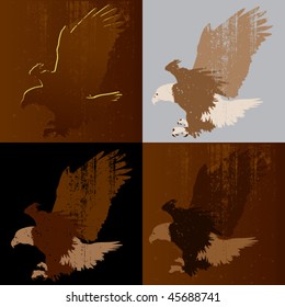 bald eagle landing, set of four options with grunge texture