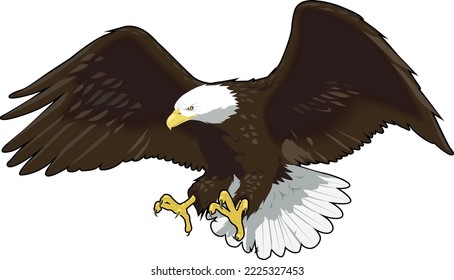 Bald Eagle Landing Vector Illustration