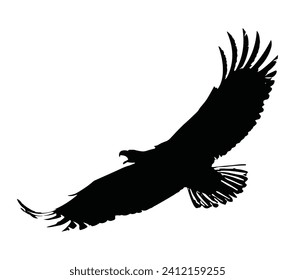 Bald Eagle Logo Design Vector Template.