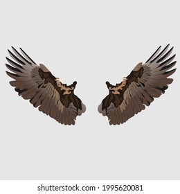 Bald eagle long, fluffy and open wings and you can use in any eagle front view. 