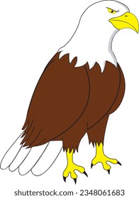 The bald eagle is a majestic bird of prey known for its distinctive white head and tail feathers, contrasting with its dark brown body. It is often considered a symbol of strength and freedom in the U