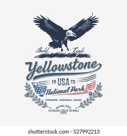 Bald Eagle, national Park Yellowstone, blue, illustration, vector