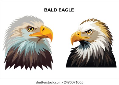 Bald Eagle on white background Vector Illustration