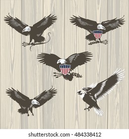 Bald eagle on wooden background, illustration, vector,