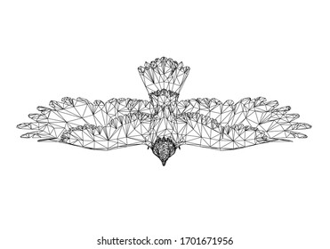 Bald Eagle polygonal lines illustration. Abstract vector eagle on the white background