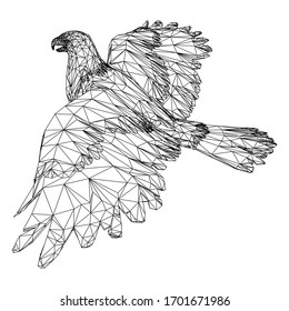 Ilustración de líneas poligonales de águila calva. Águila vectorial abstracta en el fondo blanco