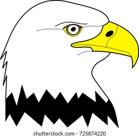 Bald eagle portrait - vector illustration