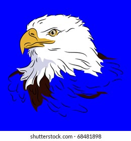 Bald eagle in profile on blue background