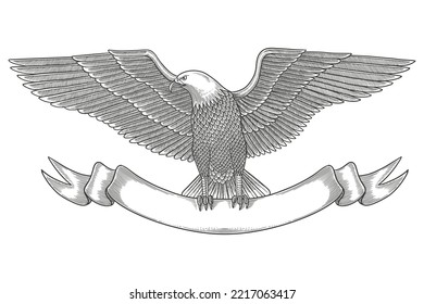 Bald eagle with ribbon. Vector vintage Engraving drawing Illustration style	
