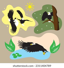 Bald eagle and seagull in the forest. Vector illustration