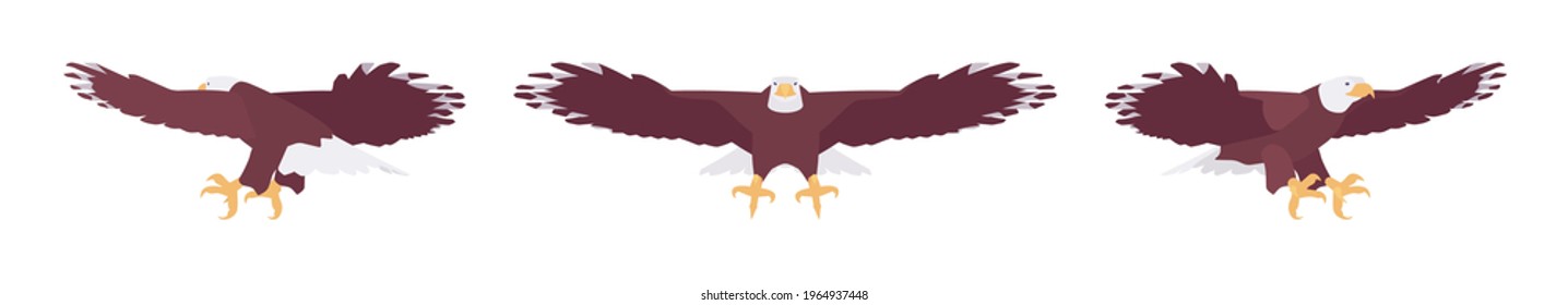 Aguila calva puesta, gran ave poderosa, alas masivas en vuelo. Estudio de vida silvestre, ornitología y concepto de observación de aves. Ilustración de dibujos animados de estilo plano vectorial aislados en fondo blanco, diferentes vistas