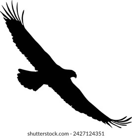 Bald eagle silhouette. Bird flying silhouette illustration