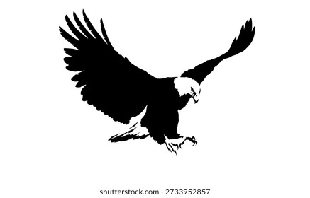 Bald Eagle Silhouette Flying with Spread Wings