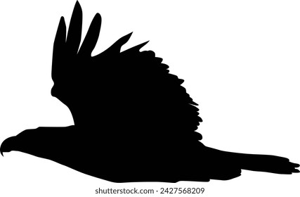 Bald eagle silhouette illustration full body. Flying bird silhouette