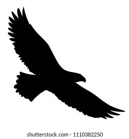Bald Eagle silhouette isolated on white. This vector illustration can be used as a print on t-shirts, tattoo element or other uses