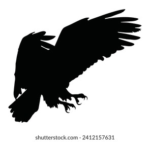 Bald eagle silhouette isolated on white background. 