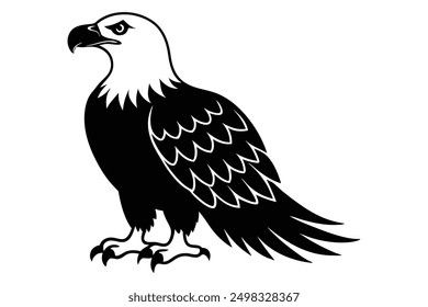 Bald Eagle Silhouette Majestic Bird Art