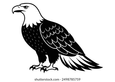 Bald Eagle Silhouette Majestic Bird Art