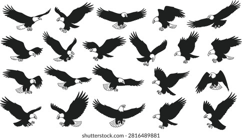 Bald eagle silhouette vector set, flying eagle, landing eagle, white head bird, raptor poses, wildlife illustration, American symbol, majestic flight