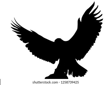 Bald Eagle silhouettes isolated on white. This vector illustration can be used as a print on t-shirts, tattoo element or other uses