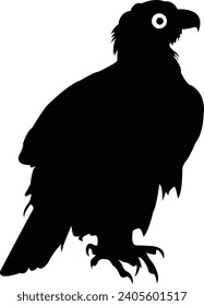 Bald Eagle silhouettes isolated on white. This vector illustration can be used as a print on t-shirts, tattoo element or other uses