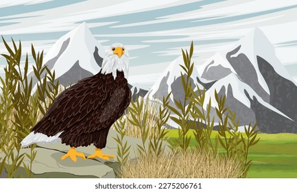 Un águila calva se sienta en una roca en un valle de montaña. Aves silvestres de presa en invierno. Paisaje vectorial realista