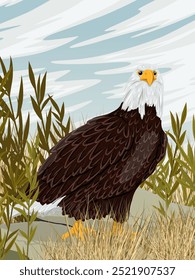 A bald eagle sits on a rock. Wild birds of prey in winter. Realistic vector vertical landscape