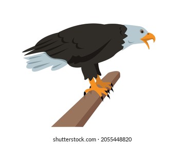 Águila calva sentada en una rama. Icono de pájaro aislado en fondo blanco. Águila Norteamericana para la Naturaleza, observación de aves y diseño ornitológico. Dibujo vectorial o ilustración plana.