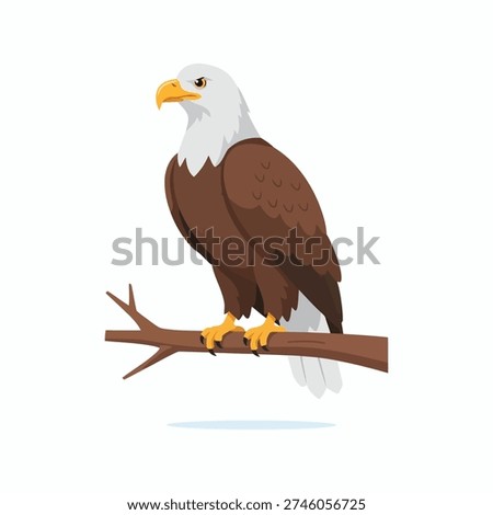 Bald Eagle Sitting on Branch Illustration