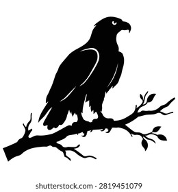 Bald eagle sitting on tree branch silhouette vector