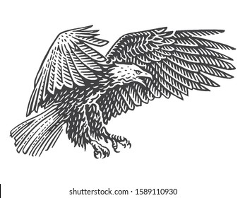 Bald Eagle Soaring Air Monochrome Illustration Stock Vector (Royalty ...