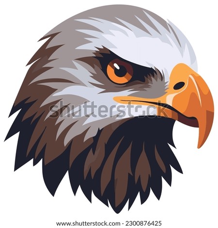 Bald eagle soaring with fierce aggression over white