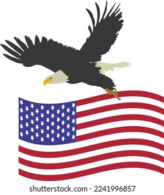 Bald eagle, sometimes called the American eagle, the national bird and national animal of the United State.