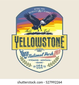 Bald Eagle at sunrise, national Park Yellowstone, illustration, vector