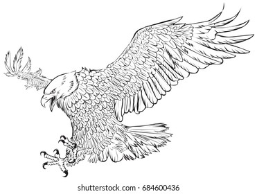 Bald eagle swoop hand draw monochrome on white background vector illustration.