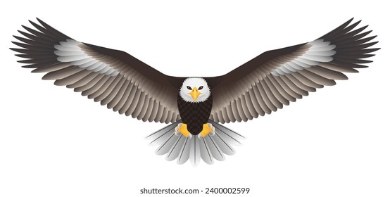 Bald eagle swooping with claws out and wing spread. Graphic vector