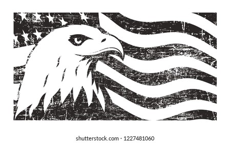 Bald eagle symbol of North America on grunge background with USA