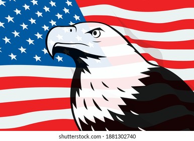 Bald eagle symbol of north america