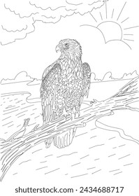 
Bald eagle united states line art illustration for coloring book manuscript