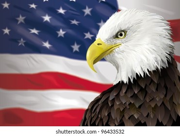 Bald Eagle And A US Flag