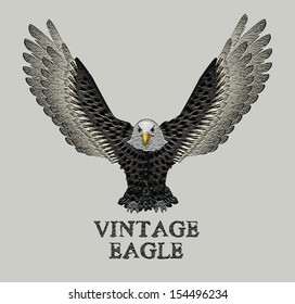 Bald Eagle Vector