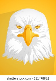 Bald Eagle Vector