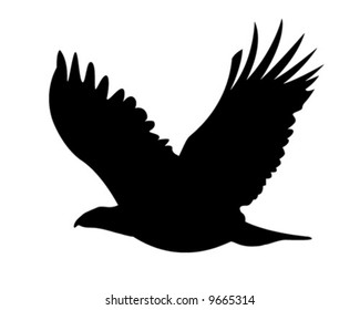 Bald Eagle Vector