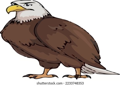 bald eagle vector colored big 