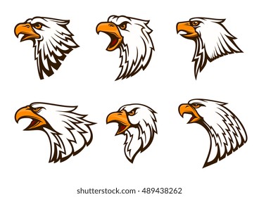 Bald Eagle vector emblems set. Isolated icons of hawk with beak, harsh crying, furious glance. Falcon label for sport team mascot badge, guard shield, club identity label