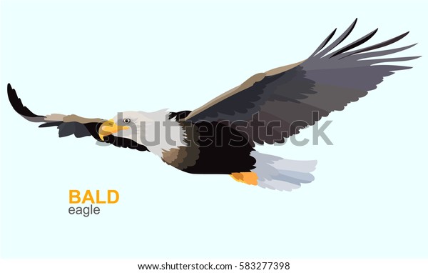 4,315 Bald Eagle Flying Stock Vectors, Images &amp; Vector Art | Shutterstock