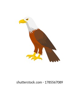 bald eagle vector illustration. flat design. isolated background. united states of america.