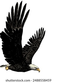 Bald eagle vector ilustration design for logo icon template 